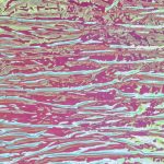 SL CRASHED Hollywood