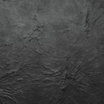 SL LOTUS CLASSY Black