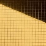 MS flex Gold - Image 10